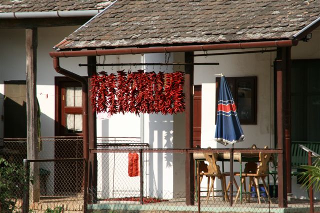 http://www.jagen-in-ungarn.at/media/galerie/Hirschbrunft (21).jpg